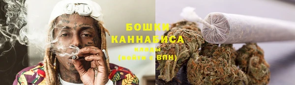 PSILOCYBIN Армянск