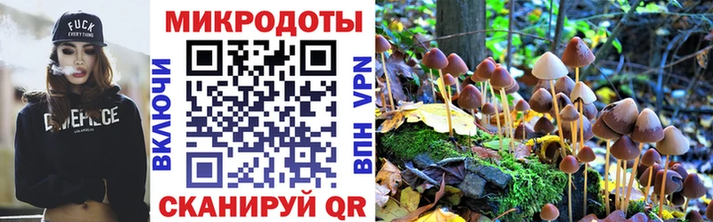цена   Спасск-Дальний  блэк спрут ссылка  Галлюциногенные грибы Psilocybine cubensis 